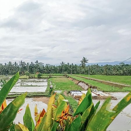 Nyoman Sandat House 1 ウブド エクステリア 写真