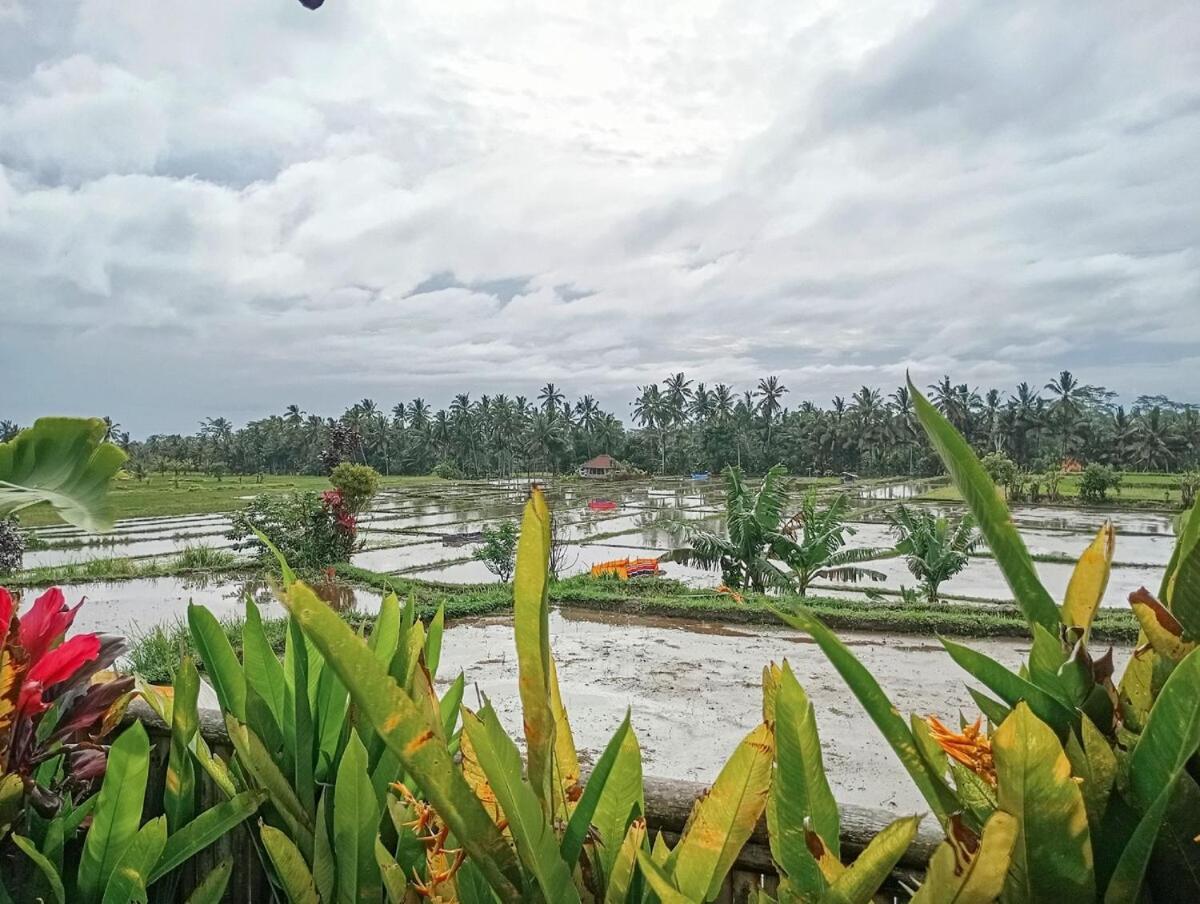 Nyoman Sandat House 1 ウブド エクステリア 写真