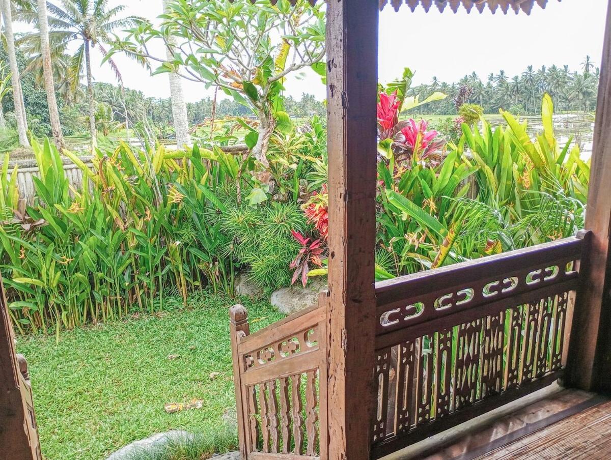 Nyoman Sandat House 1 ウブド エクステリア 写真