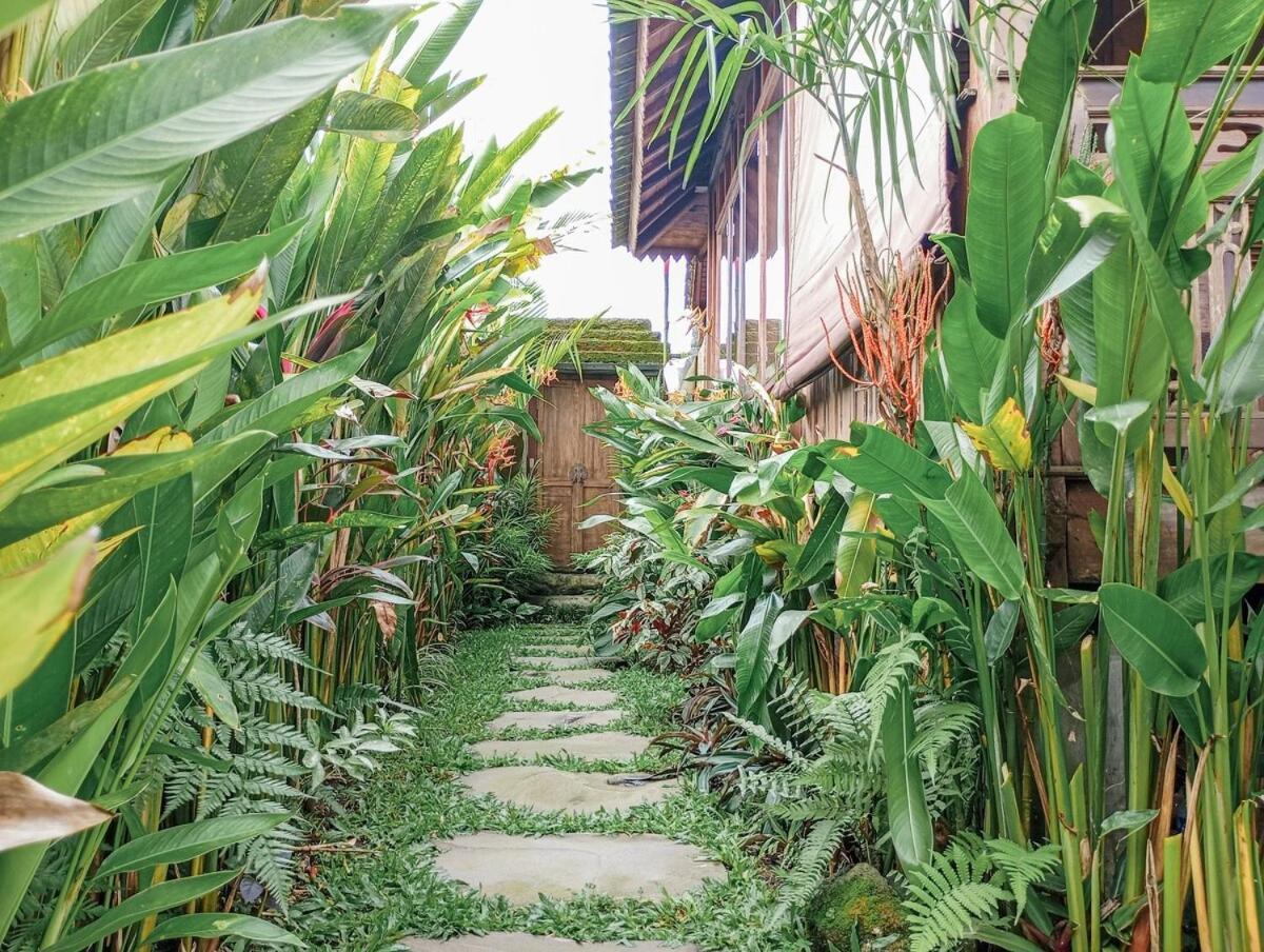 Nyoman Sandat House 1 ウブド エクステリア 写真