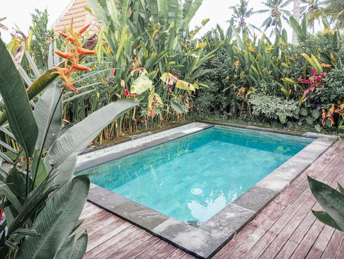 Nyoman Sandat House 1 ウブド エクステリア 写真